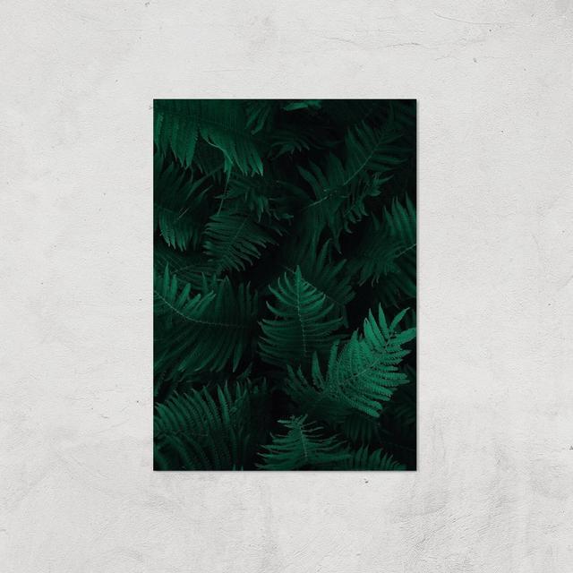 Dark Forest From Above Giclee Art Print - A2 - Print Only on Productcaster.