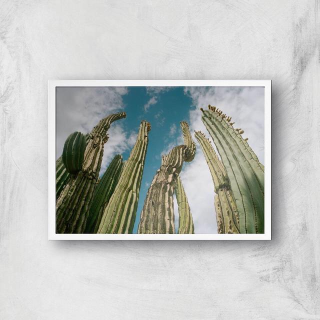 Tall Cactus Giclee Art Print - A3 - White Frame on Productcaster.