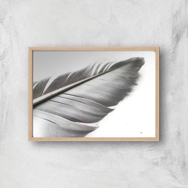 Leaf Or Feather? Giclee Art Print - A3 - Wooden Frame on Productcaster.