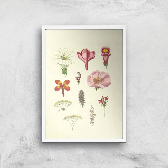 Researching Flowers Giclee Art Print - A3 - White Frame on Productcaster.