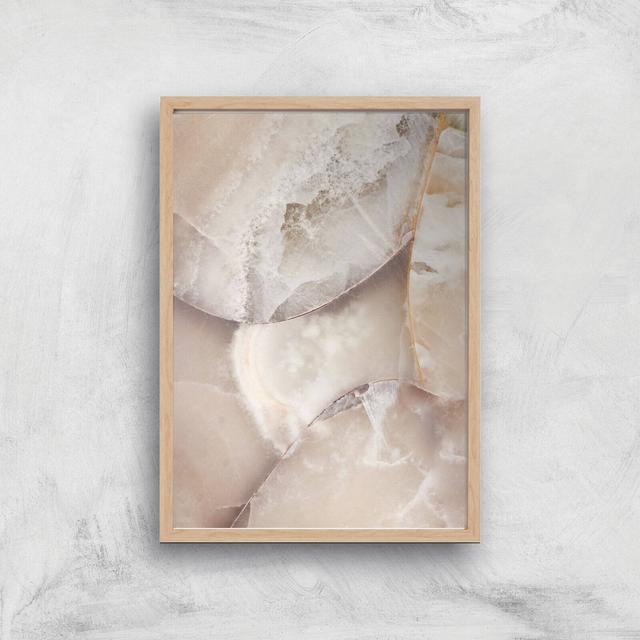 Shells Giclee Art Print - A3 - Wooden Frame on Productcaster.