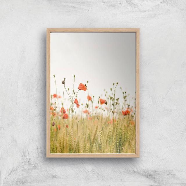 Poppy Fields Giclee Art Print - A3 - Wooden Frame on Productcaster.