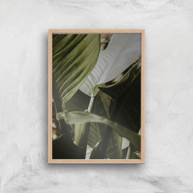 Saturated Leaves Giclee Art Print - A2 - Wooden Frame on Productcaster.