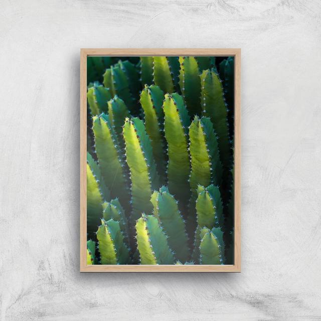 Cactus From Above Giclee Art Print - A3 - Wooden Frame on Productcaster.