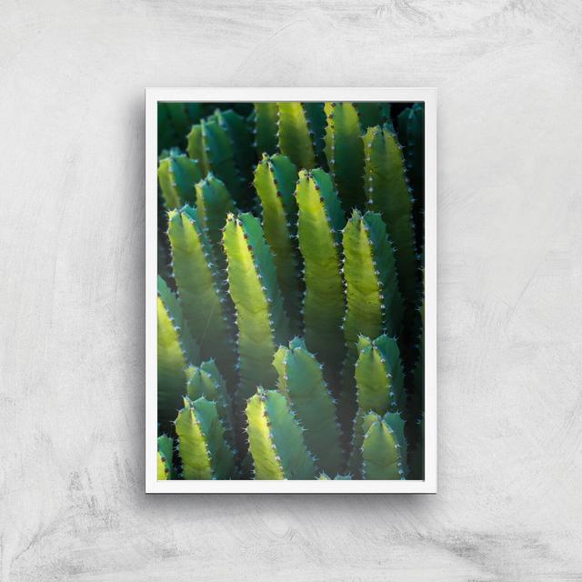 Cactus From Above Giclee Art Print - A3 - White Frame on Productcaster.