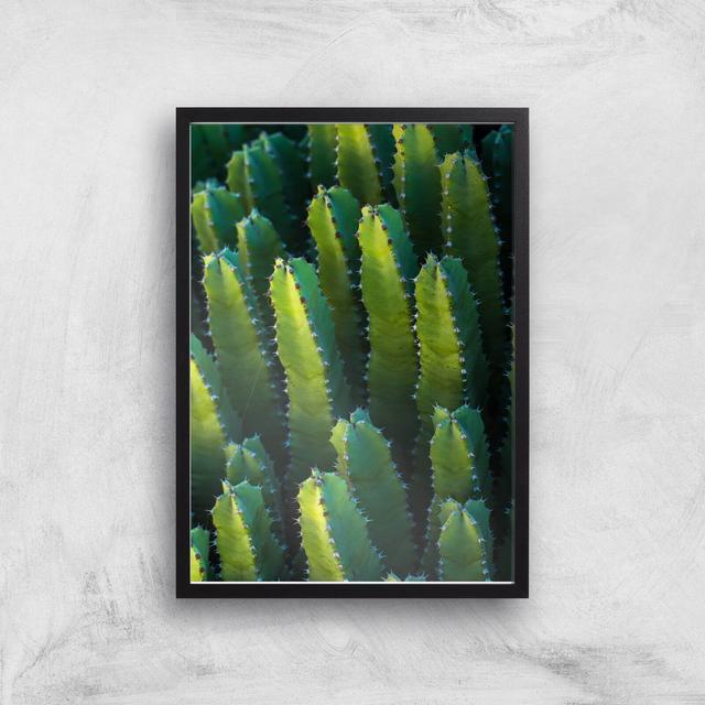 Cactus From Above Giclee Art Print - A3 - Black Frame on Productcaster.