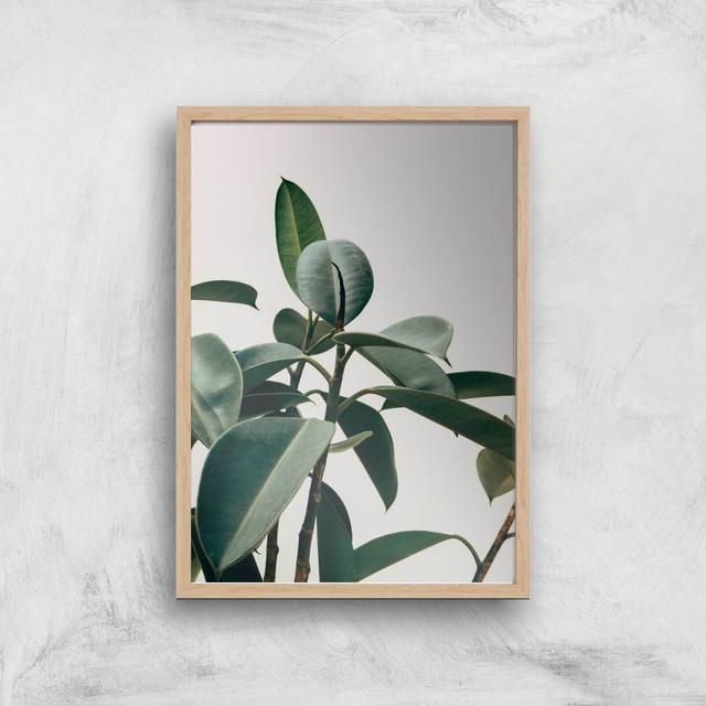 Thick Leaves Giclee Art Print - A2 - Wooden Frame on Productcaster.