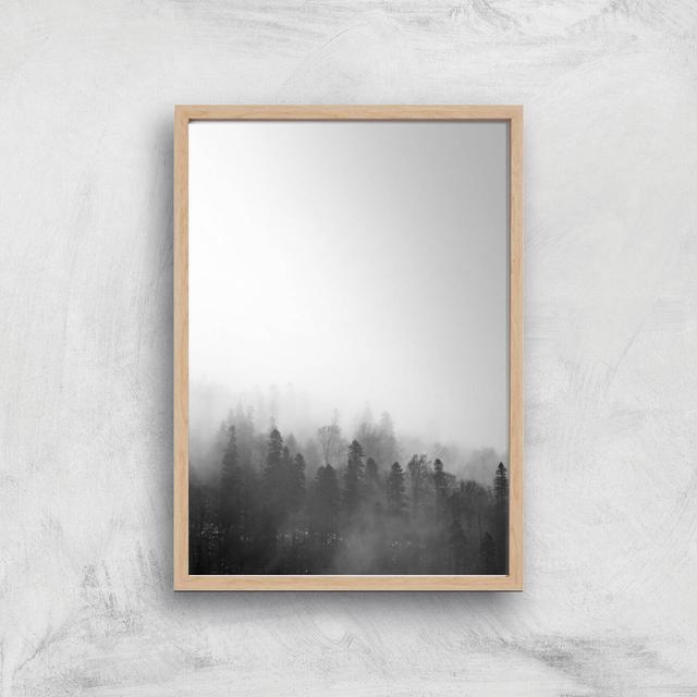 Black & White Forest Giclee Art Print - A4 - Wooden Frame on Productcaster.