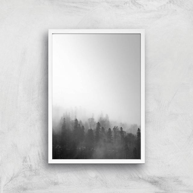 Black & White Forest Giclee Art Print - A2 - White Frame on Productcaster.