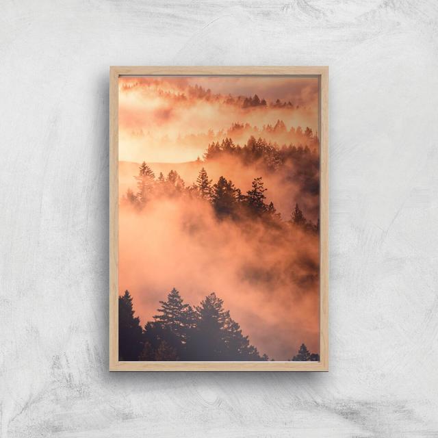 Sunset Forest Giclee Art Print - A3 - Wooden Frame on Productcaster.