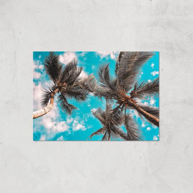 Blue Skies And Palm Trees Giclee Art Print - A3 - Print Only on Productcaster.