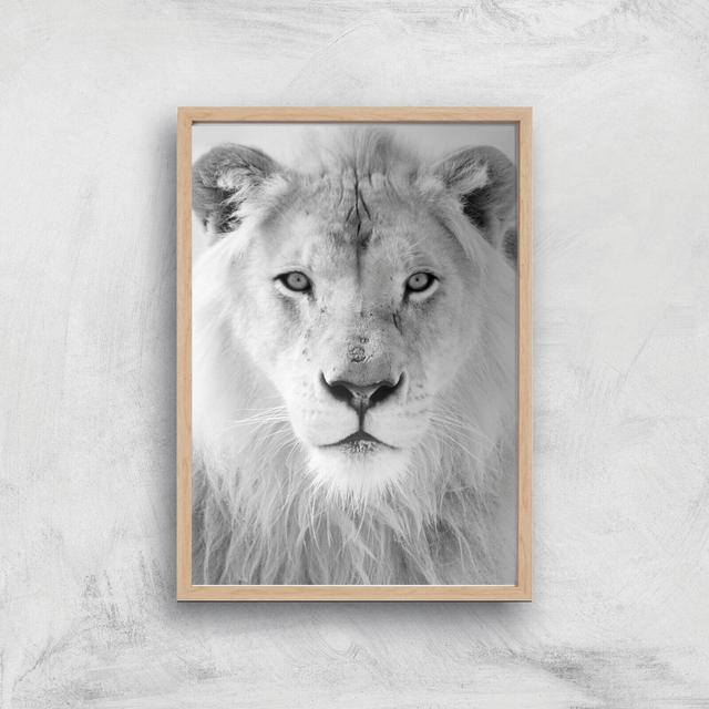 King Giclee Art Print - A4 - Wooden Frame on Productcaster.