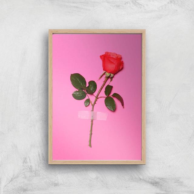 Wallflower Giclee Art Print - A4 - Wooden Frame on Productcaster.