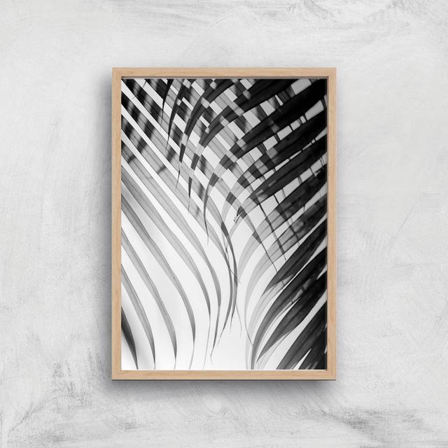 Tropical Curtain Giclee Art Print - A3 - Wooden Frame on Productcaster.