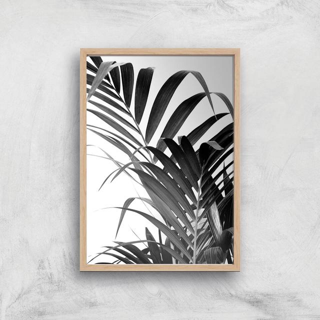 Palm Life Giclee Art Print - A3 - Wooden Frame on Productcaster.