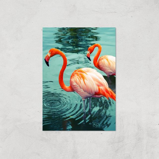 Flamingo Giclee Art Print - A3 - Print Only on Productcaster.