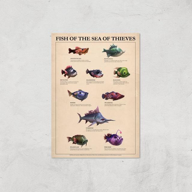 Fish Of The Sea Of Thieves Giclee Art Print - A3 - Print Only on Productcaster.