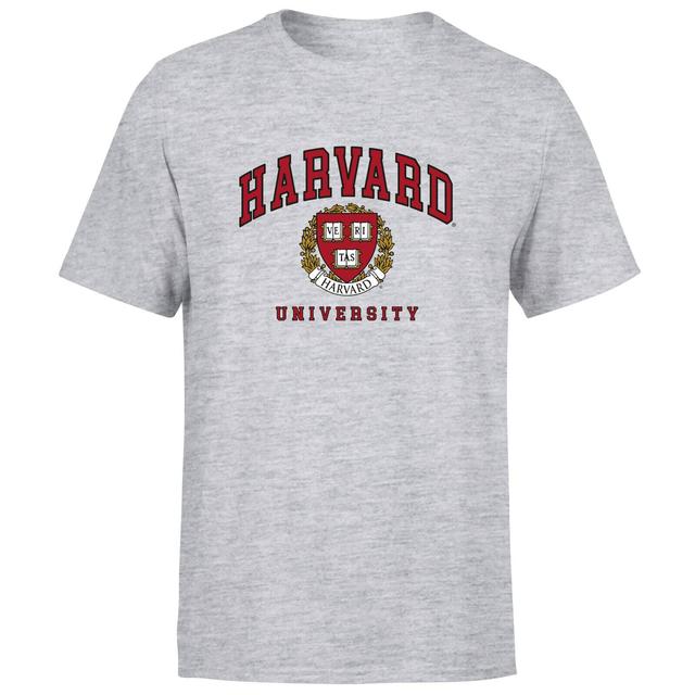 Harvard Gray Tee Men's T-Shirt - Grey - 4XL on Productcaster.