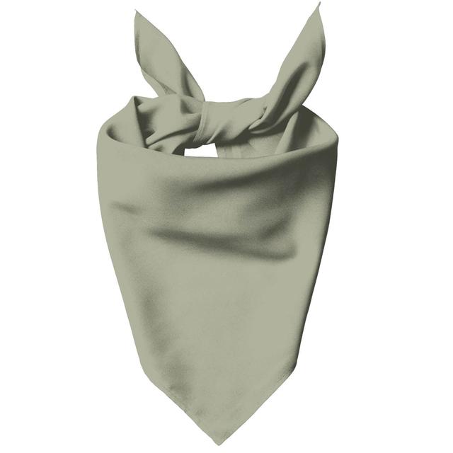 Sage Pet Bandana - S on Productcaster.