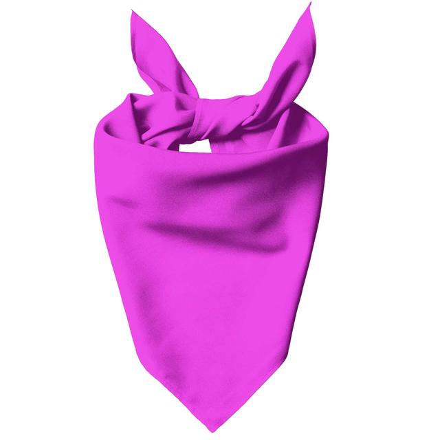 Bright Pink Pet Bandana - L on Productcaster.