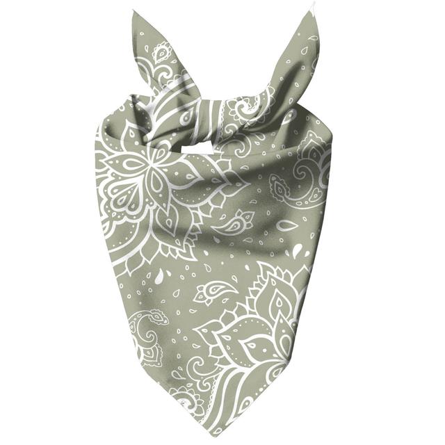 Siege Paisley Pet Bandana - Klein on Productcaster.