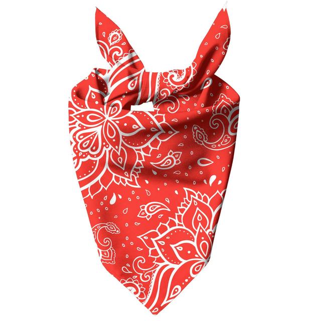 Red Paisley Pet Bandana - Groß on Productcaster.