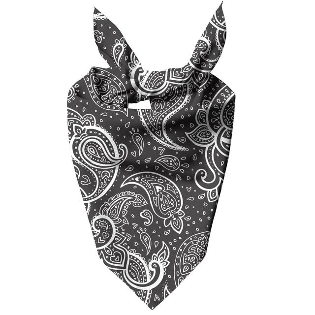 Inverted Paisley Pet Bandana - Small on Productcaster.