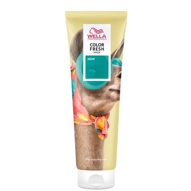 Wella Professionals Care Color Fresh Semi-Permanent Colour Mask - Mint 150ml on Productcaster.