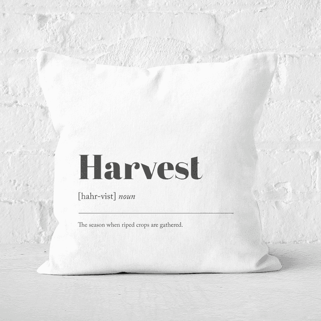 Harvest Square Cushion - 50x50cm - Soft Touch on Productcaster.