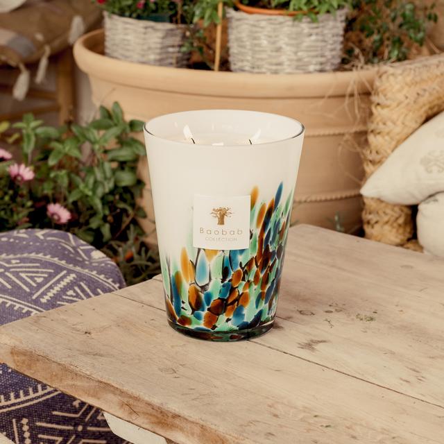 Baobab Collection Rainforest Candle Amazonia (Various Sizes) - 5000g on Productcaster.