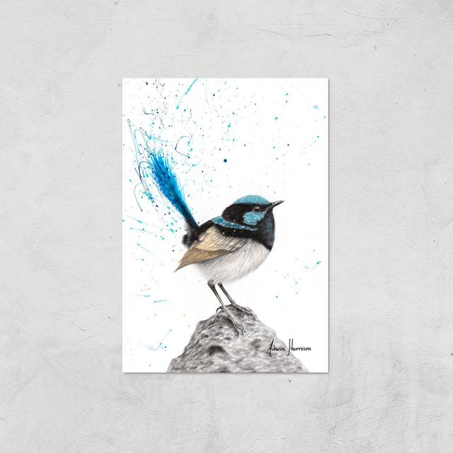 Mountain Blue Wren Giclee Art Print - A2 - Print Only on Productcaster.