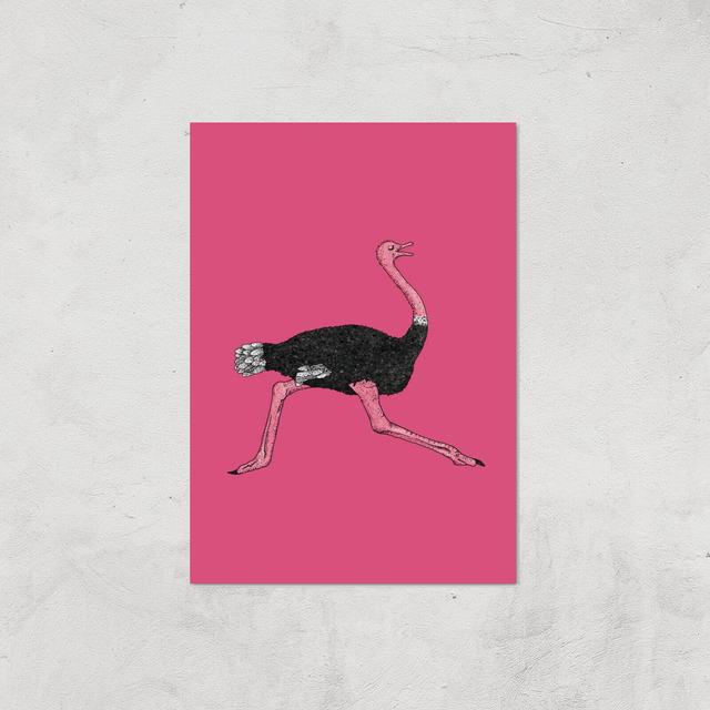 Ostrich Giclee Art Print - A4 - Print Only on Productcaster.