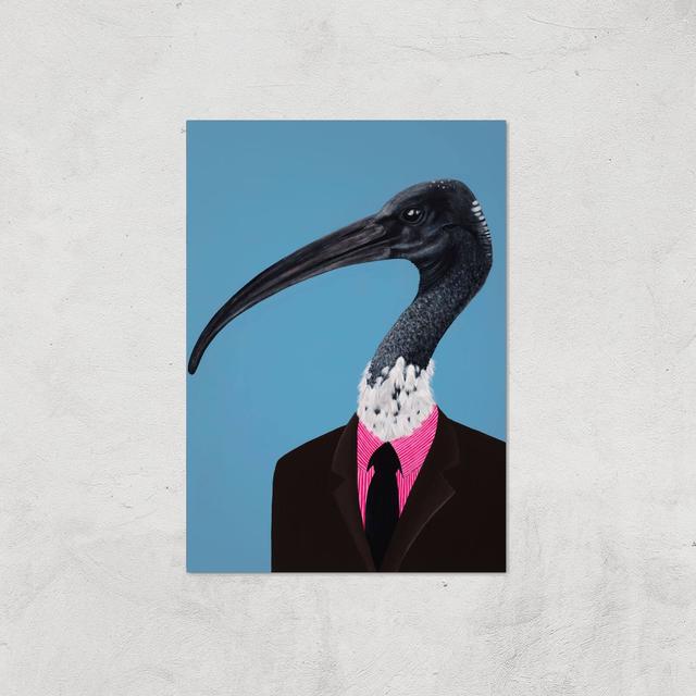 Ibis In Suit Giclee Art Print - A3 - Print Only on Productcaster.