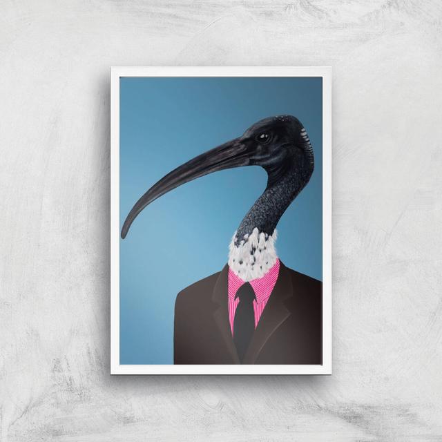 Ibis In Suit Giclee Art Print - A3 - White Frame on Productcaster.