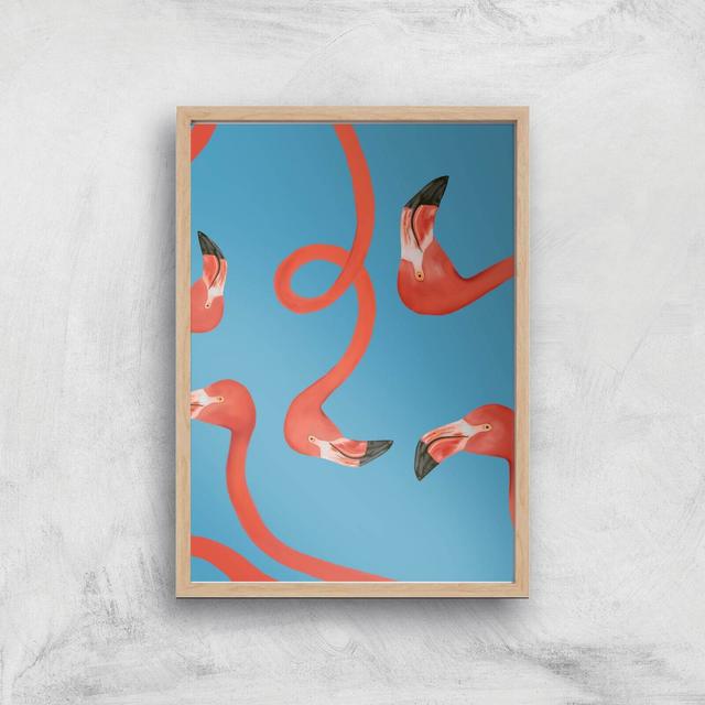 Swimingos Giclee Art Print - A3 - Wooden Frame on Productcaster.