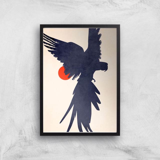 Borris Photography Parrot Giclee Art Print - A4 - Black Frame on Productcaster.