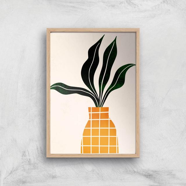 Borris Photography Peter The Plant Giclee Art Print - A4 - Wooden Frame on Productcaster.