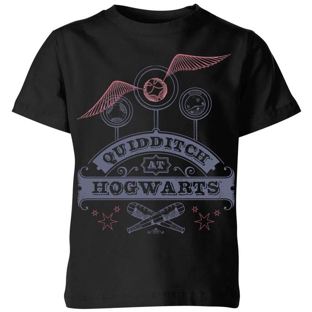 Caja Harry Potter Quidditch at Hogwarts - 5-6 años - Negro on Productcaster.