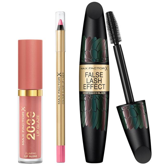 Max Factor Lip Gloss, Lip Liner and Mascara Bundle (Various Shades) - Pink Princess on Productcaster.