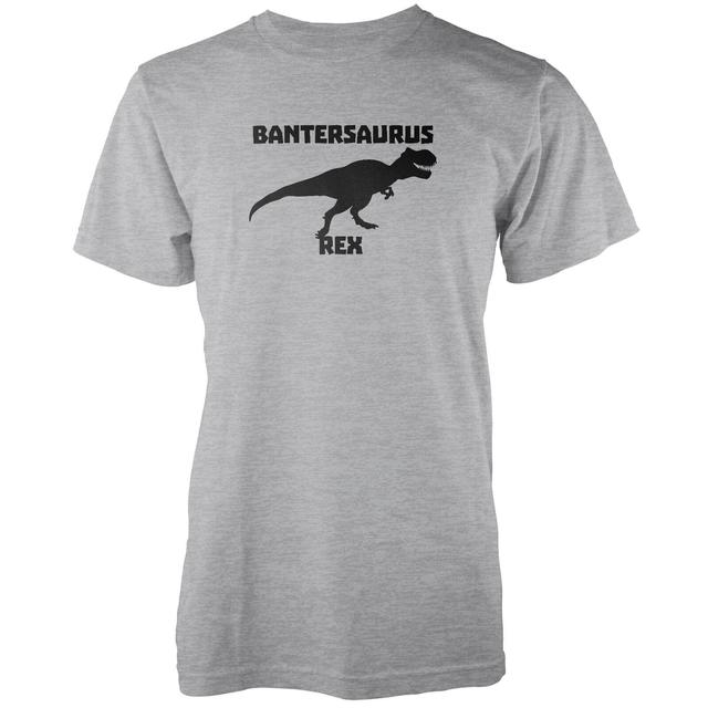 Bantersaurus Rex Grey T-Shirt - XXL - Grau on Productcaster.