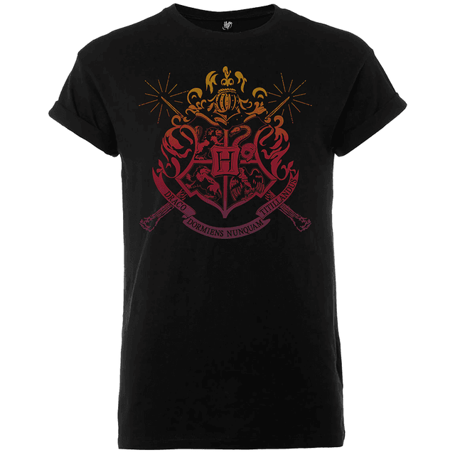 Harry Potter Draco Dormiens Nunquam Titillandus Männer T-Shirt - Schwarz - XXL on Productcaster.