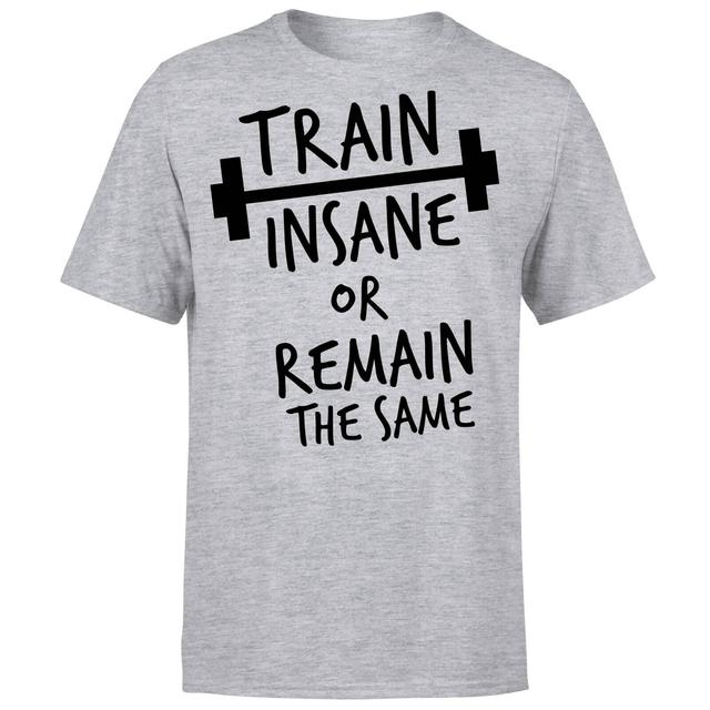 Train Insane or Remain the Same T-Shirt - Grey - XL - Grey on Productcaster.