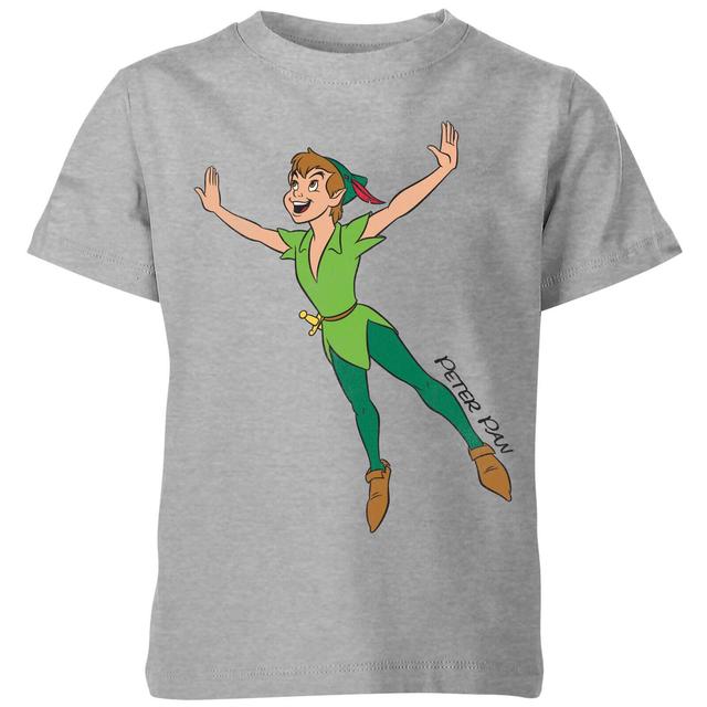 Camiseta Disney Peter Pan Volando - Niño - Gris - 9-10 años on Productcaster.