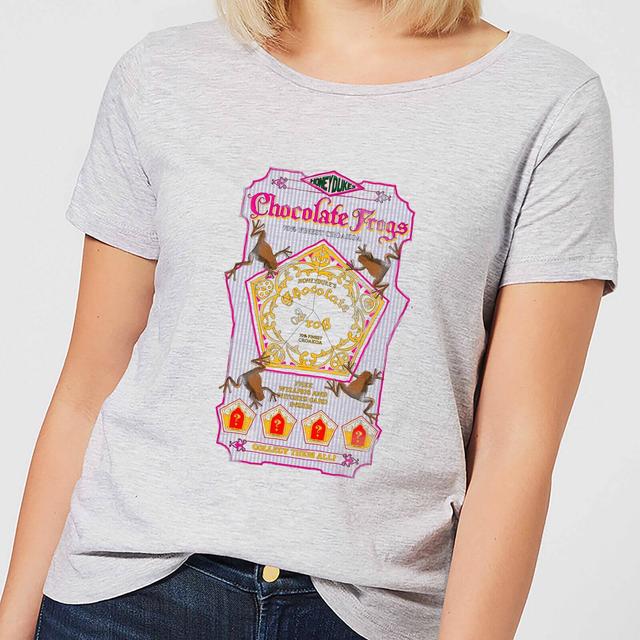 Harry Potter Chocolate Frog Women's T-Shirt - Grey - 3XL on Productcaster.