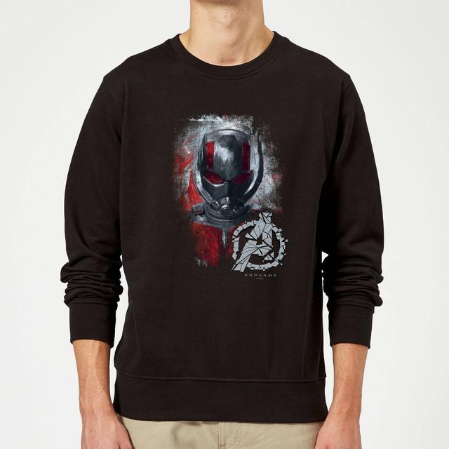 Sudadera Vengadores Endgame Ant Man Brushed - Hombre - Negro - XL - Negro on Productcaster.