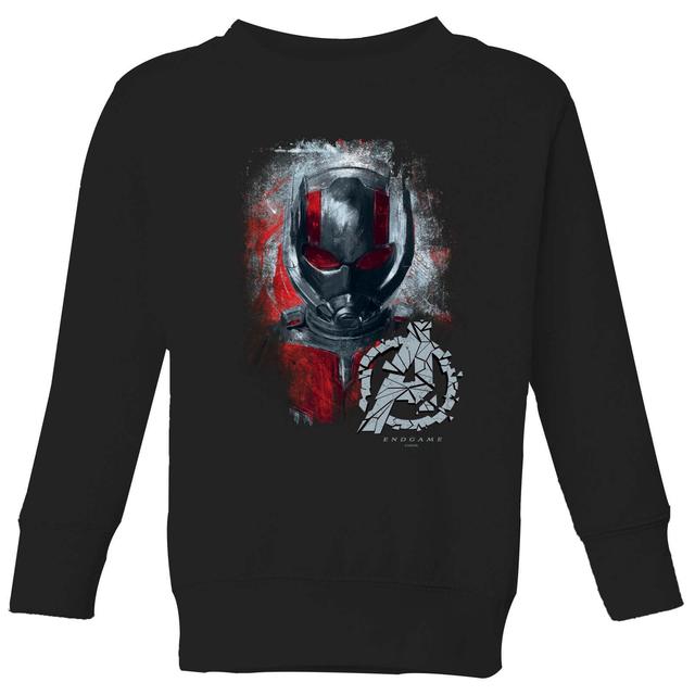 Sudadera Vengadores Endgame Ant Man Brushed - Niño - Negro - 7-8 años - Negro on Productcaster.