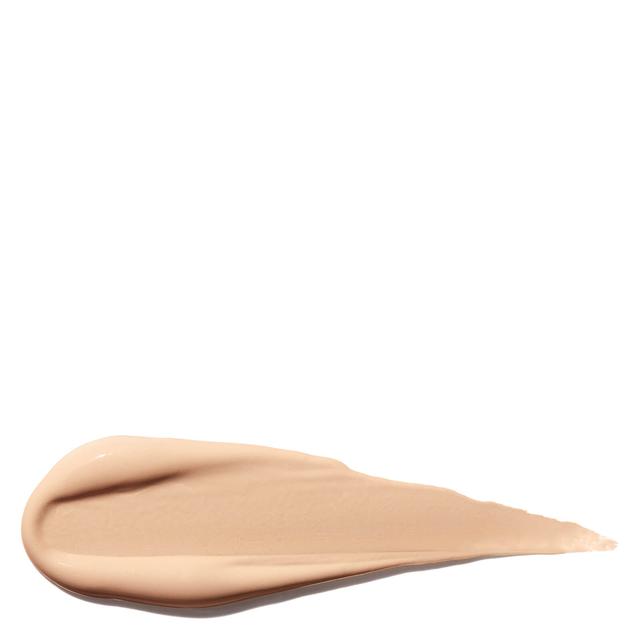 Shiseido Synchro Skin Self Refreshing Concealer 5.8ml (Various Shades) - 202 on Productcaster.