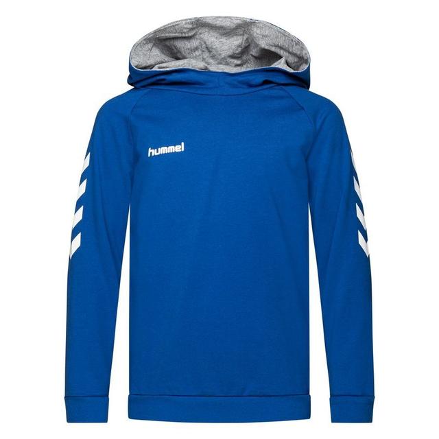 Hummel Go Cotton Hoodie - Blue Kids, size 176 cm on Productcaster.