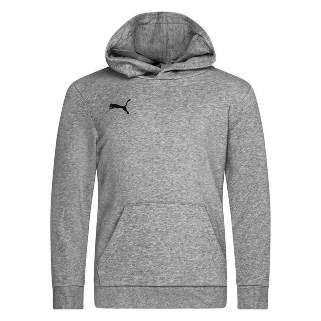 PUMA Hoodie Teamgoal 23 Casuals - Medium Grey Heather/black Kids, size YXS/116 cm on Productcaster.