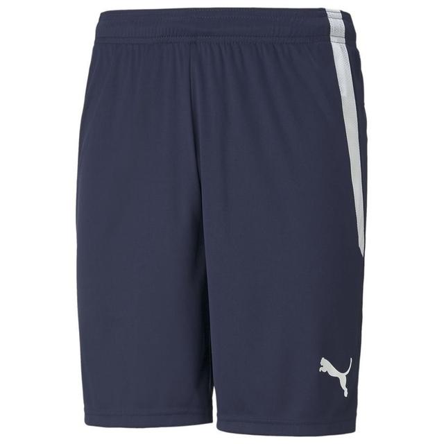 Teamliga Shorts - PUMA, Größe Large on Productcaster.